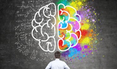 لماذا لا يكون هناك ازدواج بين التخصصات العلمية والأدبية