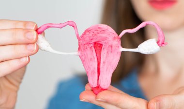 سرطان عنق الرحم: الأسباب والوقاية