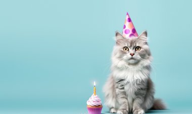 تربية الحيوانات المنزلية والأمراض المتعلقة بذلك