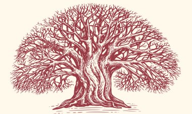 رؤية 2030 متوسط العمر إلى 80 عامًا؟ لماذا لا يمكن تحقيقه بدون بيانات محدثة ودراسات دورية؟