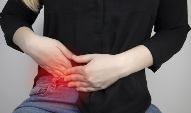 الزائدة الدودية: من عضو مُهمَل إلى لاعب خفي في جهاز المناعة