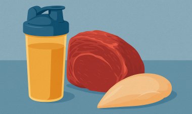 ماهي انواع مكملات البروتين؟ وهل يمكن يغني عن اللحم والدجاج ؟