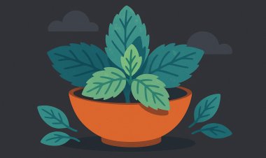 كيف يعزز النعناع صحتك