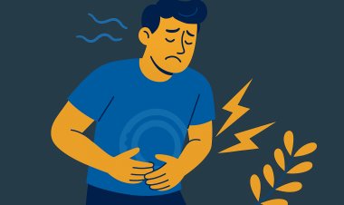 دراسة جديدة تكشف قوة مزيج البربرين والكركم في تهدئة القولون العصبي