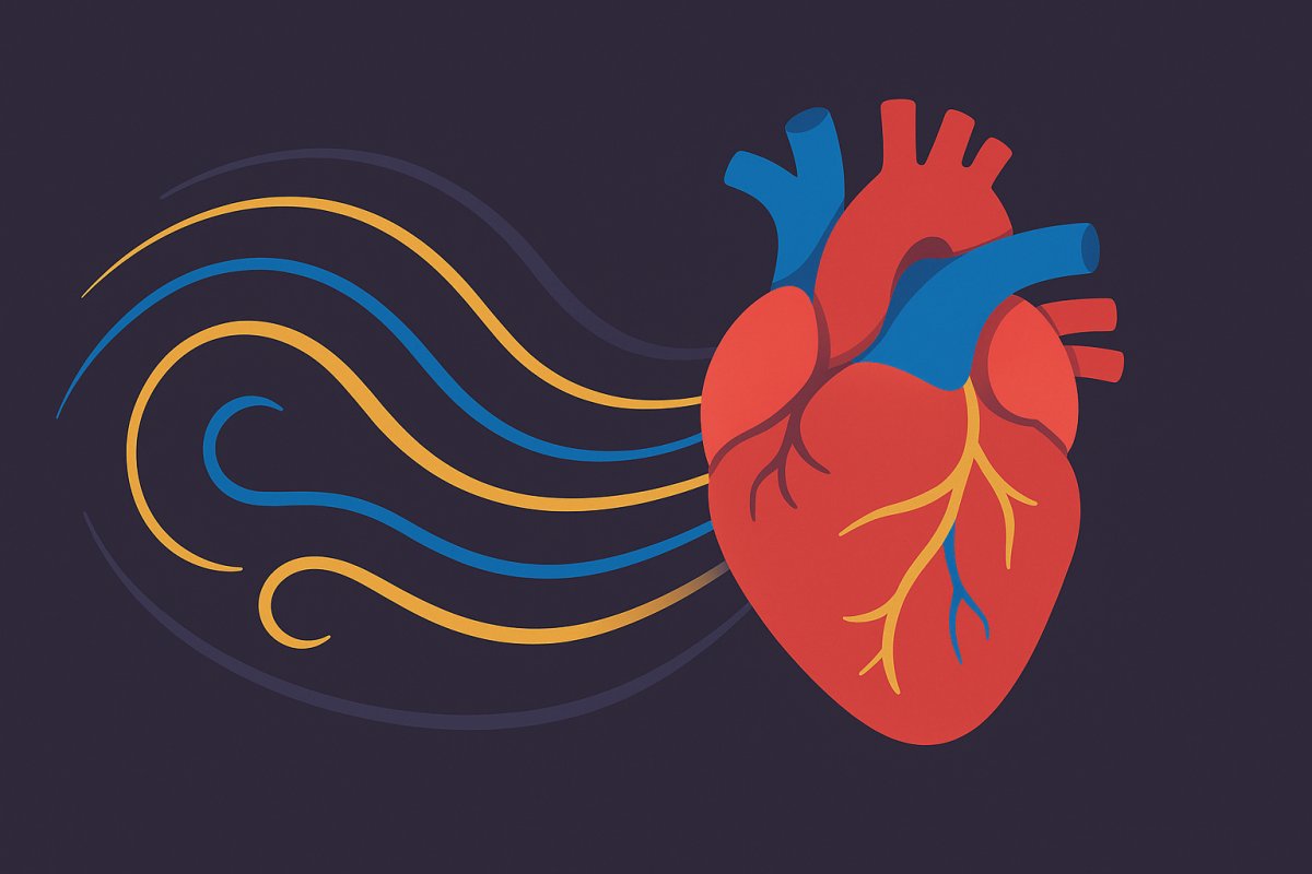 كيف يعمل القلب؟ رحلة مع مضخة الحياة في جسم الإنسان