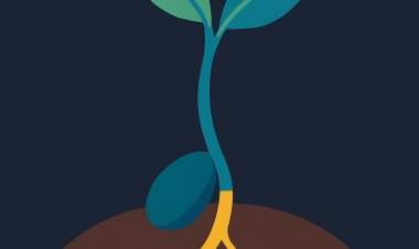 كيف تنبت البذرة؟ رحلة صغيرة لفهم بداية الحياة في النبات