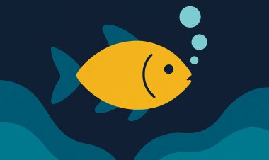 كيف تتنفس الأسماك تحت الماء؟ رحلة إلى عالم الخياشيم