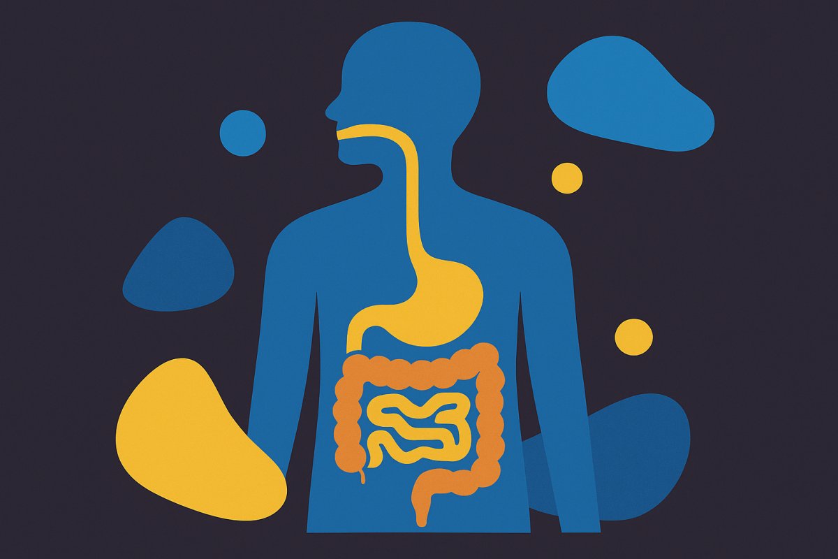 كيف يهضم الجسم الطعام؟ رحلة الطعام داخل أجسامنا