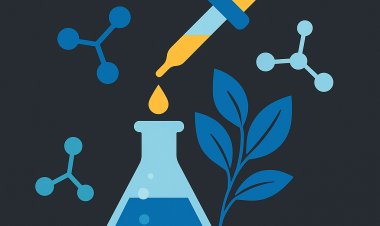 حمض الجليكوليك: المفتاح لتقشير وتجديد البشرة بعمق