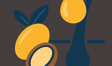 زيت الأرغان: سر تغذية الشعر ولمعانه الطبيعي