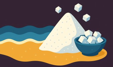 لماذا البحر مالح؟ رحلة عبر الأملاح والمحيطات