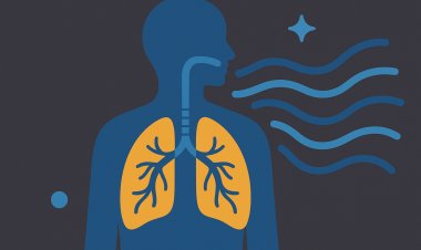 كيف يعمل الجهاز التنفسي وماهي مكوناته