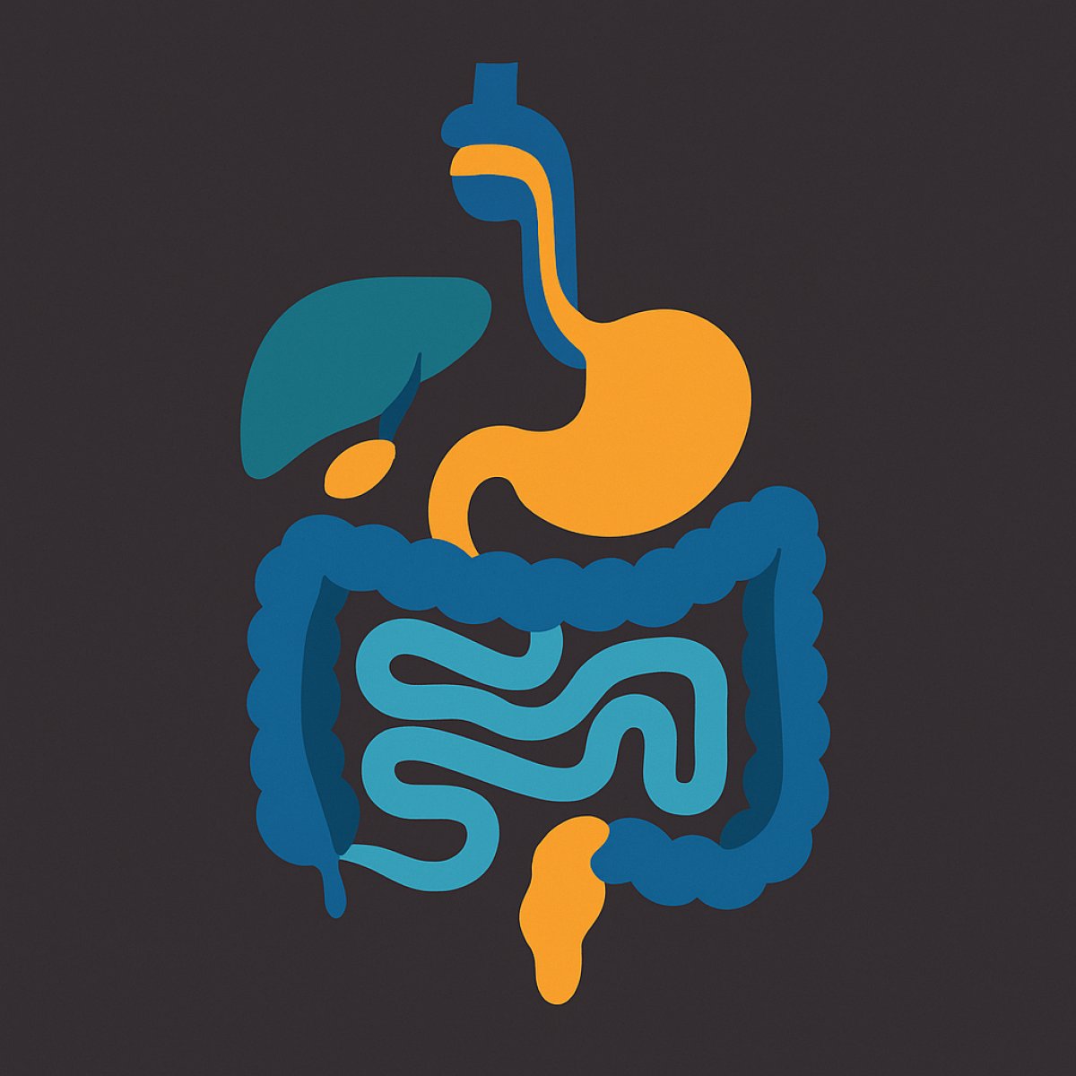 رحلة الطعام داخل الجسم: كيف يعمل الجهاز الهضمي ومكوناته