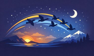 لماذا تهاجر الطيور؟ رحلة البحث عن الغذاء والمناخ