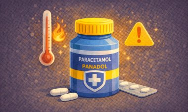 Paracetamol – بانادول ودوره في علاج الألم والحمى