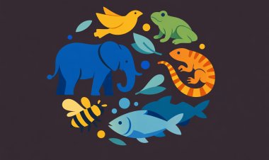 لماذا ليست كل الحيوانات متشابهة