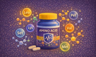 Amino Acid Beef: فوائد البروتينات المشتقة من لحم البقر للرياضيين