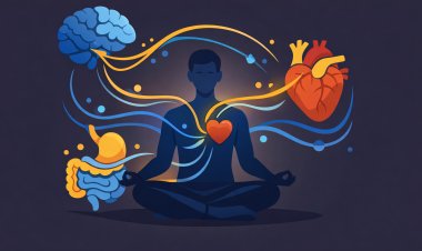 العصب المبهم وتنظيم الجهاز العصبي: استراتيجيات لتهدئة العقل والجسد