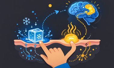 كيف نشعر بالحرارة والبرودة؟ رحلة داخل أعصابنا الحسية