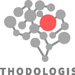 The Methodologists