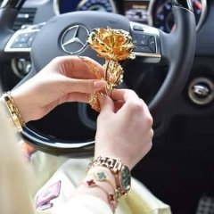 د. شيرين إبراهيم محمد